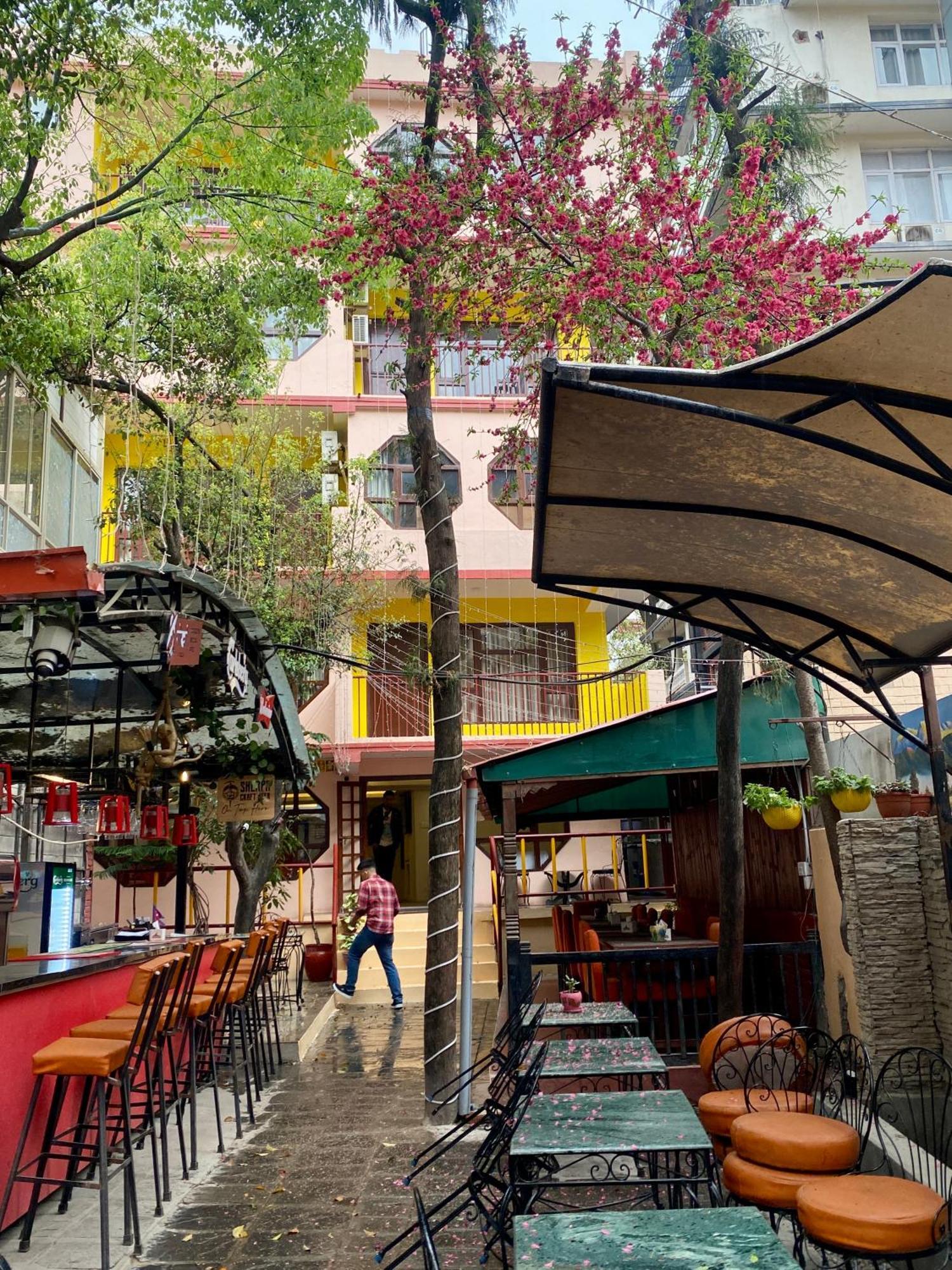 Hotel Pala Katmandu Zewnętrze zdjęcie